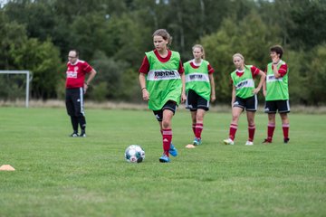Bild 239 - Frauen SG NieBar - HSV 2 : Ergebnis: 4:3